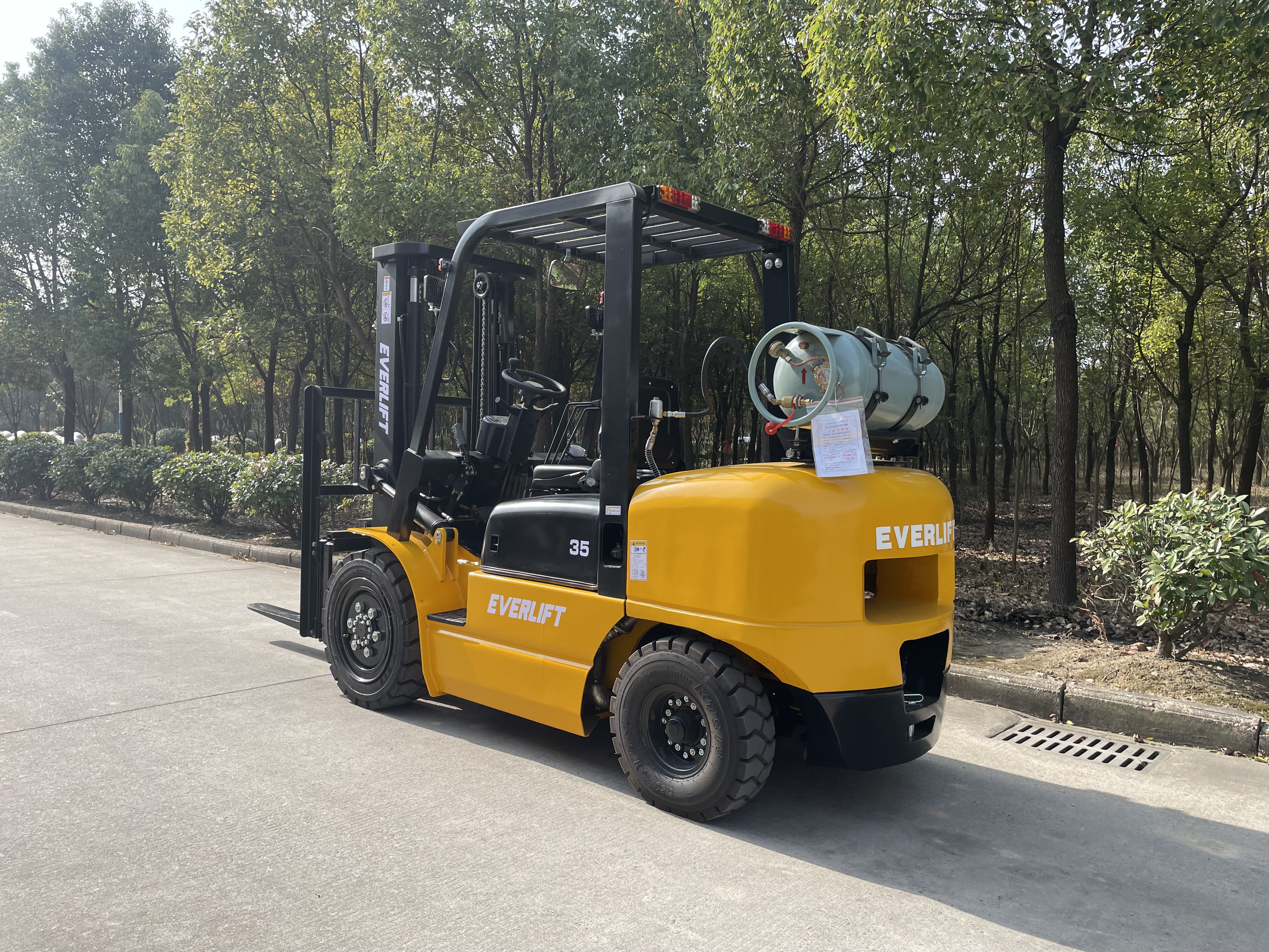 Everlift 3,5 тонны 3-тонный вилочный погрузчик с пропаном, сжиженным нефтяным газом, бензиновый вилочный погрузчик